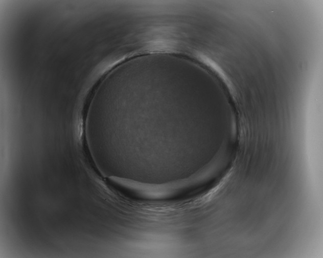 X0000088851461200706081126