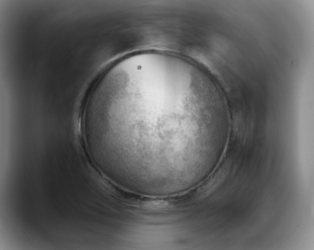 X0000088851462200706081126