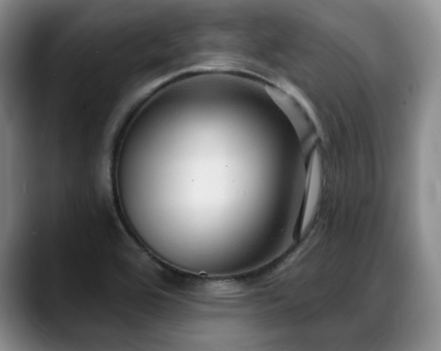X0000088851464200706081126