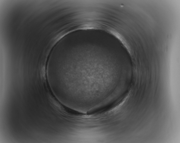 X0000088851465200706081126