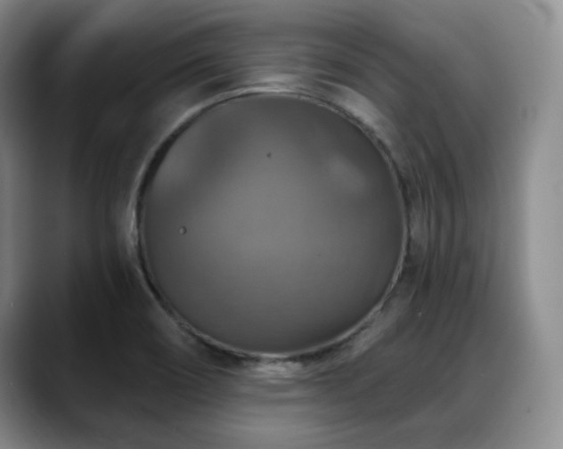 X0000088851466200706081126