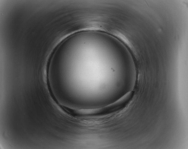 X0000088851468200706081126