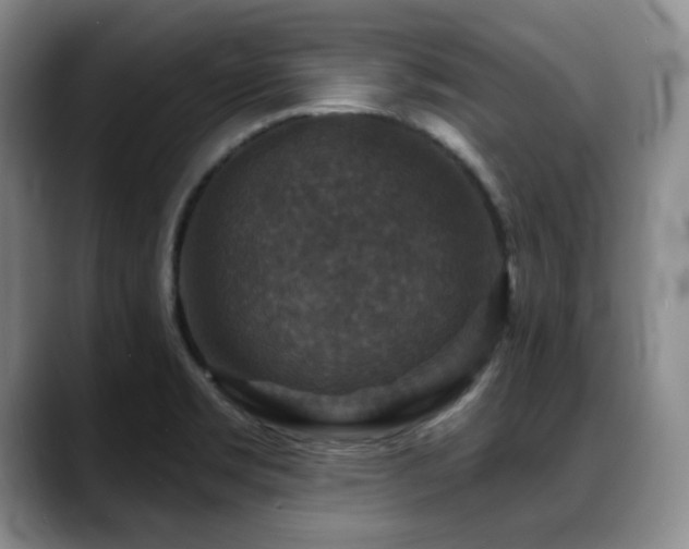 X0000088851469200706081126