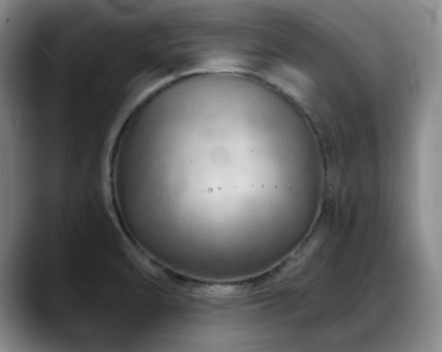 X0000088851470200706081126