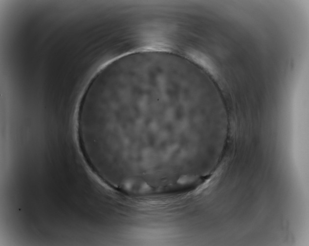 X0000088851471200706081126