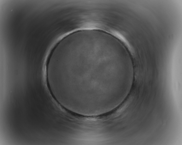 X0000088851472200706081126