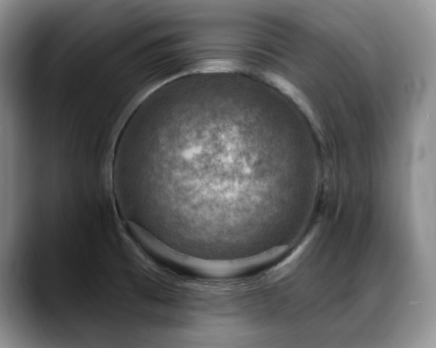 X0000088851473200706081126