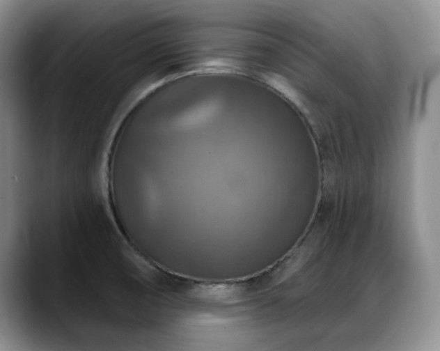 X0000088851474200706081126