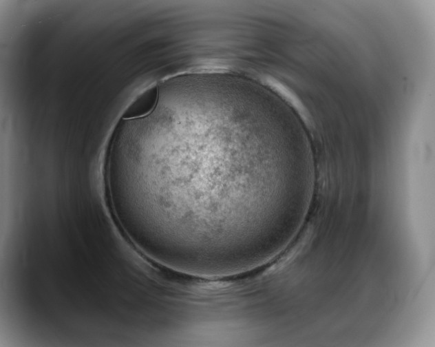 X0000088851475200706081126