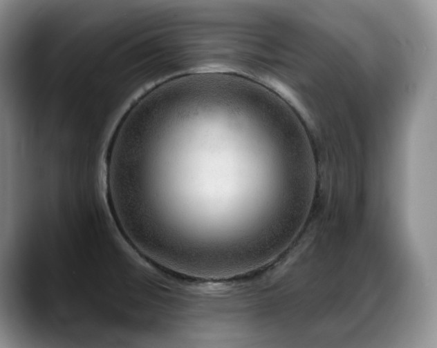 X0000088851476200706081126