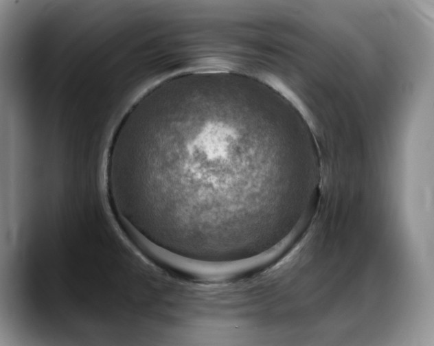 X0000088851477200706081126