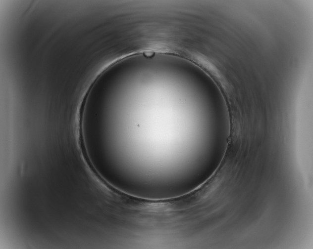 X0000088851479200706081126