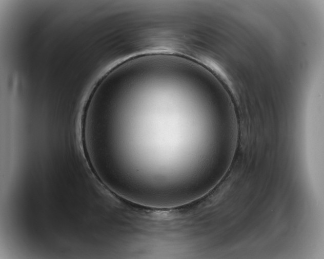 X0000088851480200706081126