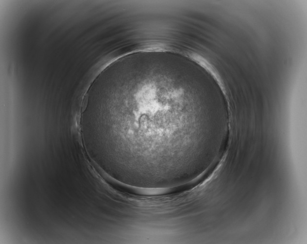 X0000088851481200706081126