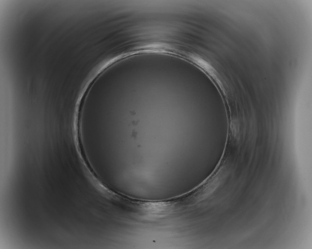 X0000088851482200706081126
