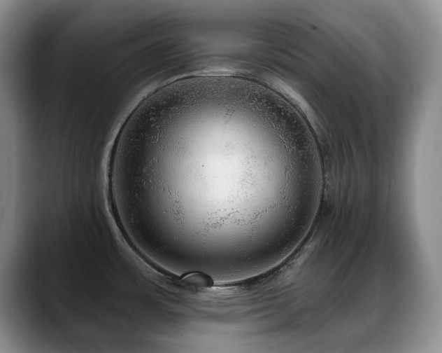 X0000088851483200706081126