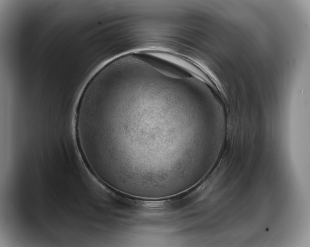 X0000088851484200706081126