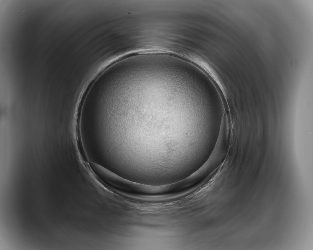 X0000088851485200706081126