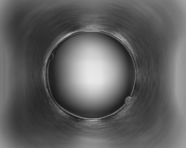 X0000088851486200706081126