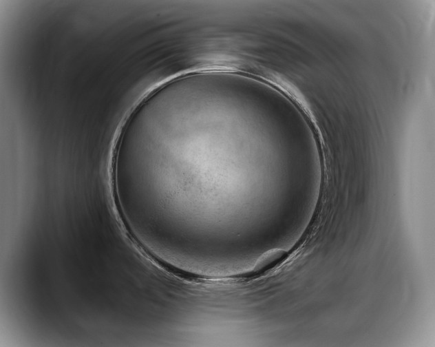X0000088851488200706081125