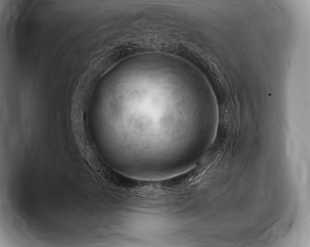 X0000088851489200706081125