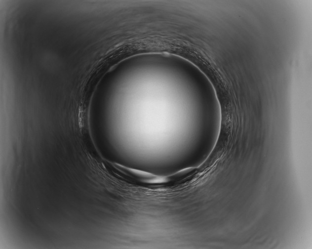 X0000088851490200706081125