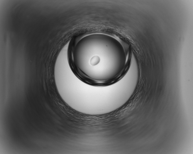 X0000088851492200706081125