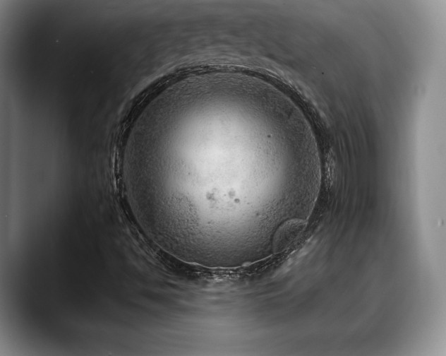 X0000088851494200706081125