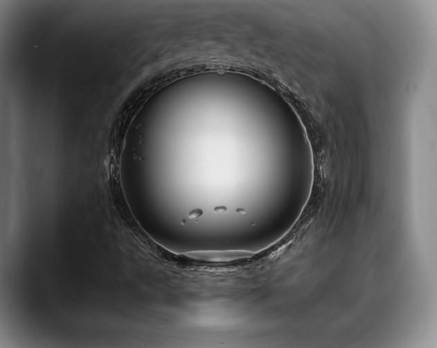X0000088851495200706081125