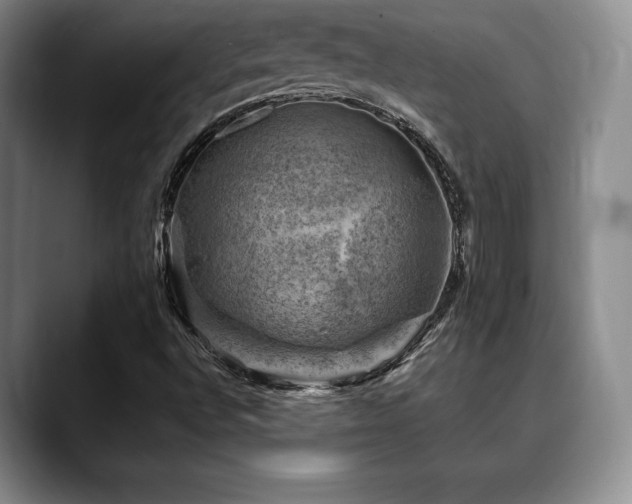X0000088851496200706081125