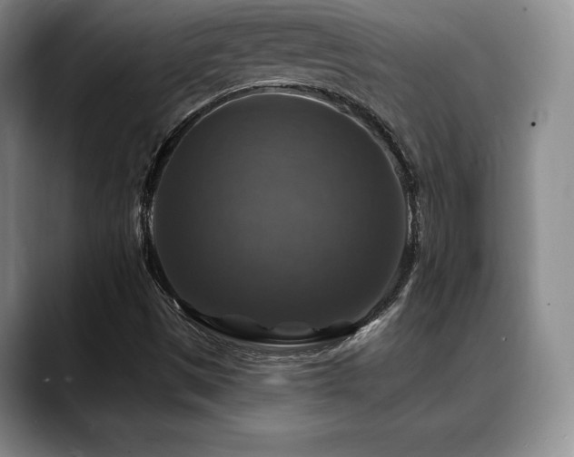 X0000088851497200706081125