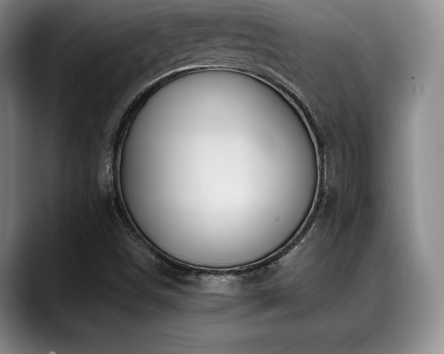 X0000088851498200706081125