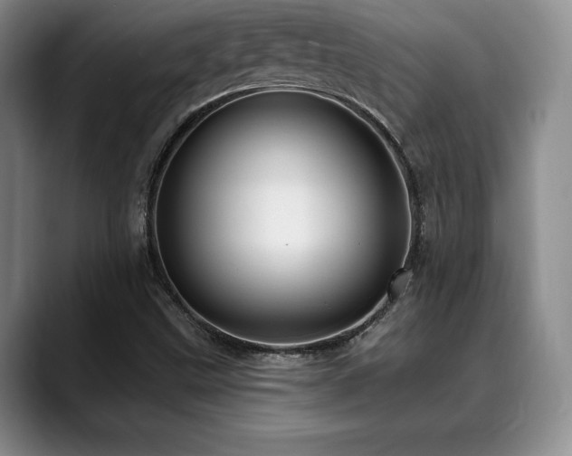 X0000088851499200706081125