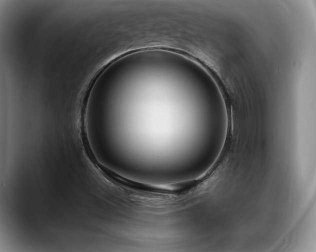 X0000088851500200706081125