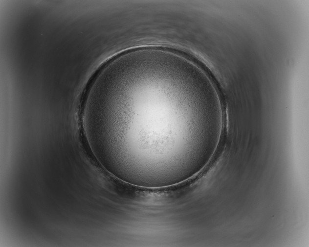 X0000088851501200706081125