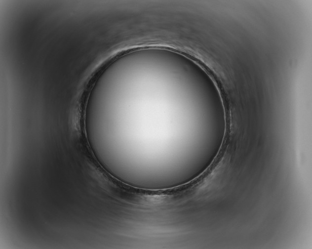 X0000088851502200706081125