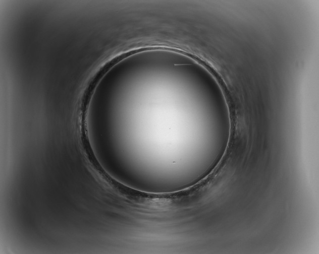 X0000088851503200706081125