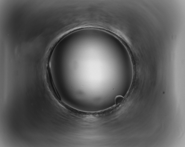 X0000088851504200706081125
