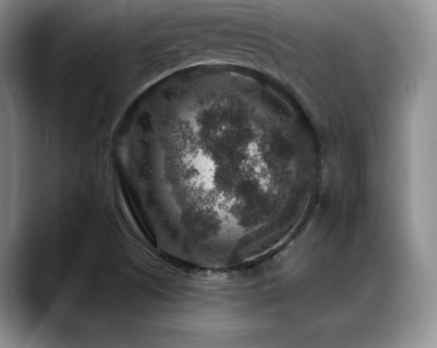 X0000088851505200706081125