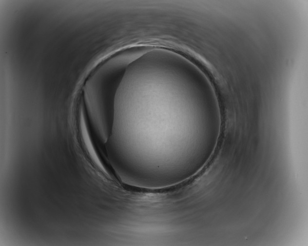 X0000088851506200706081125