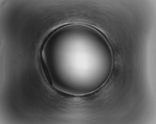 X0000088851507200706081125