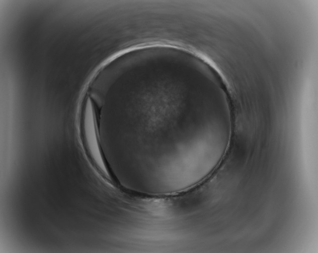 X0000088851508200706081125