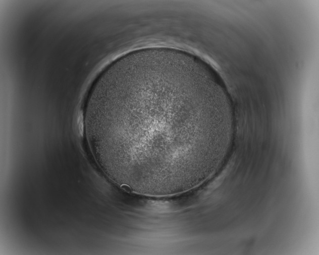 X0000088851509200706081125