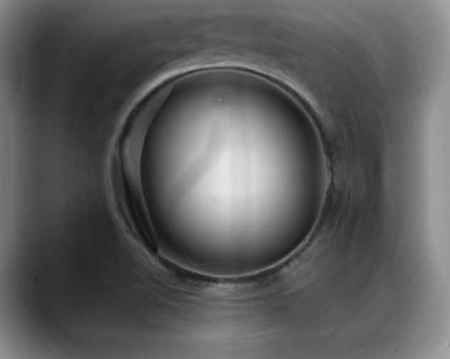 X0000088851510200706081125