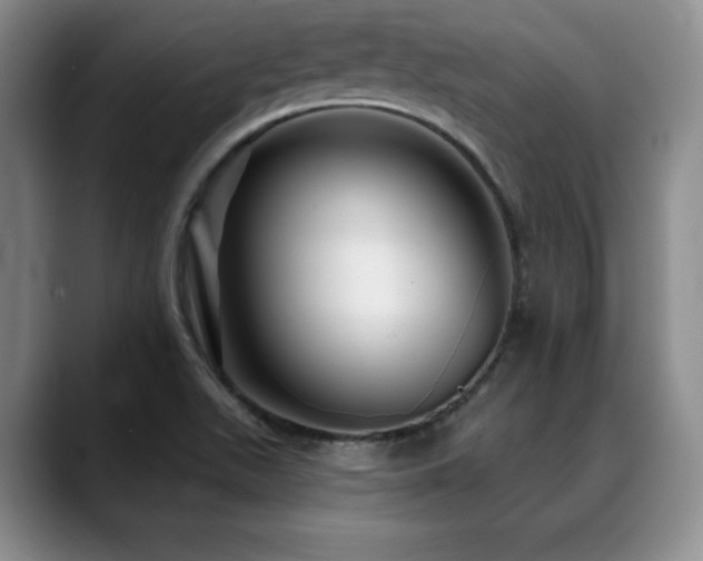 X0000088851511200706081125