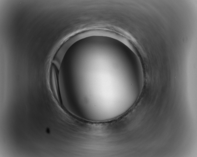 X0000088851512200706081125