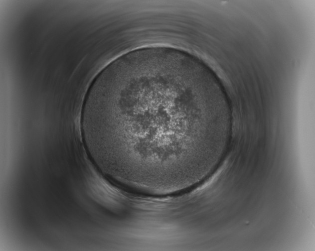 X0000088851513200706081125