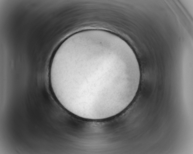 X0000088851514200706081125