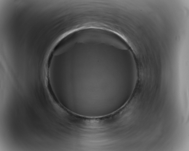 X0000088851515200706081125