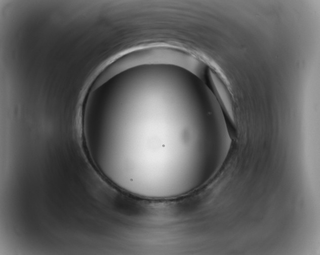 X0000088851516200706081125